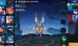 高能英雄最新英雄爆料猫,高能英雄全新神秘英雄猫爆料揭秘